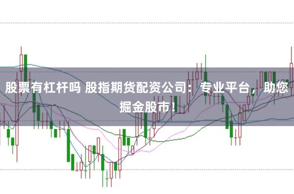 股票有杠杆吗 股指期货配资公司：专业平台，助您掘金股市！