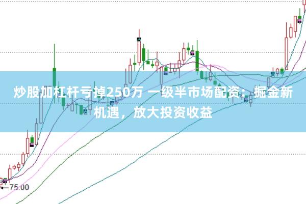 炒股加杠杆亏掉250万 一级半市场配资：掘金新机遇，放大投资收益