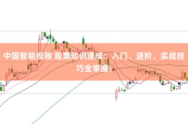 中国智能投顾 股票知识速成：入门、进阶、实战技巧全掌握！