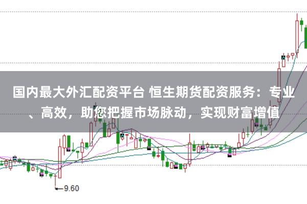 国内最大外汇配资平台 恒生期货配资服务：专业、高效，助您把握市场脉动，实现财富增值
