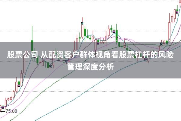 股票公司 从配资客户群体视角看股票杠杆的风险管理深度分析