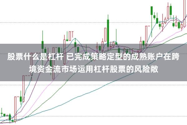 股票什么是杠杆 已完成策略定型的成熟账户在跨境资金流市场运用杠杆股票的风险敞