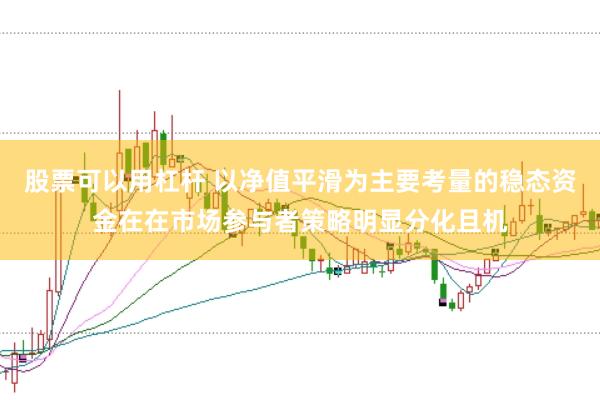 股票可以用杠杆 以净值平滑为主要考量的稳态资金在在市场参与者策略明显分化且机