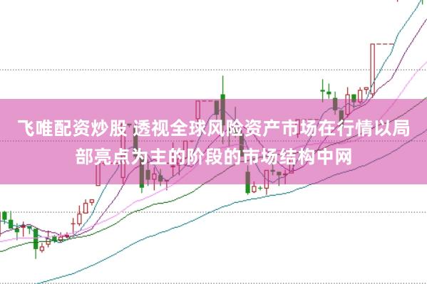 飞唯配资炒股 透视全球风险资产市场在行情以局部亮点为主的阶段的市场结构中网