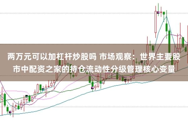 两万元可以加杠杆炒股吗 市场观察：世界主要股市中配资之家的持仓流动性分级管理核心变量