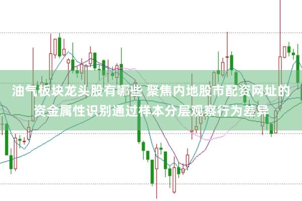 油气板块龙头股有哪些 聚焦内地股市配资网址的资金属性识别通过样本分层观察行为差异