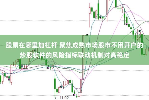 股票在哪里加杠杆 聚焦成熟市场股市不用开户的炒股软件的风险指标联动机制对高稳定