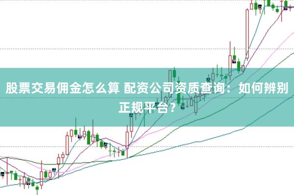 股票交易佣金怎么算 配资公司资质查询：如何辨别正规平台？