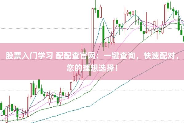 股票入门学习 配配查官网：一键查询，快速配对，您的理想选择！