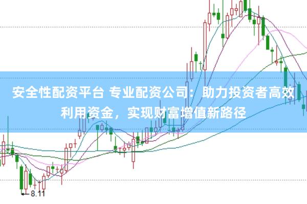 安全性配资平台 专业配资公司:助力投资者高效利用资金,实现财富增值新路径