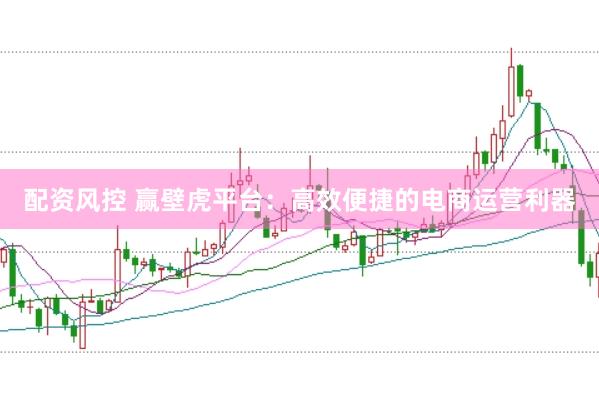 配资风控 赢壁虎平台：高效便捷的电商运营利器