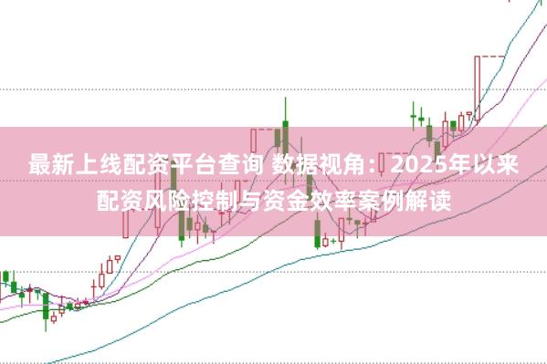 最新上线配资平台查询 数据视角：2025年以来配资风险控制与资金效率案例解读