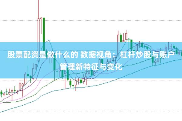 股票配资是做什么的 数据视角：杠杆炒股与账户管理新特征与变化