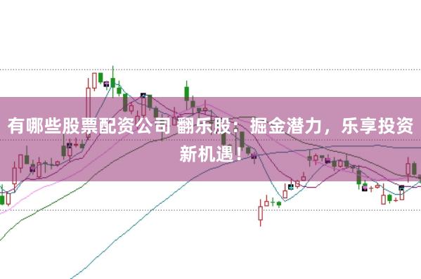 有哪些股票配资公司 翻乐股：掘金潜力，乐享投资新机遇！