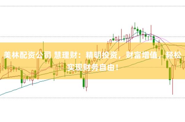 美林配资公司 慧理财：精明投资，财富增值，轻松实现财务自由！