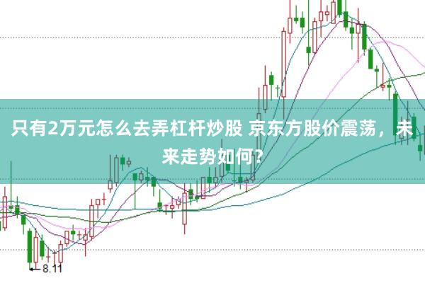只有2万元怎么去弄杠杆炒股 京东方股价震荡，未来走势如何？