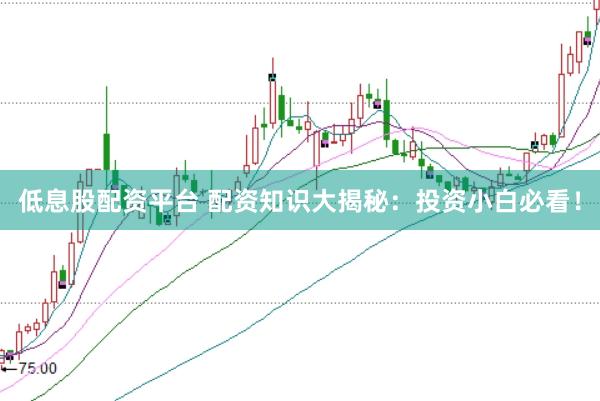 低息股配资平台 配资知识大揭秘：投资小白必看！