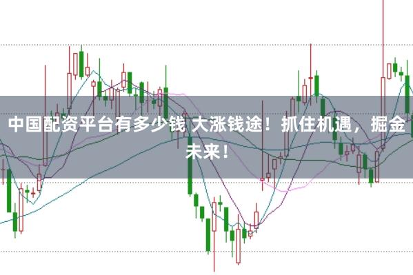 中国配资平台有多少钱 大涨钱途！抓住机遇，掘金未来！